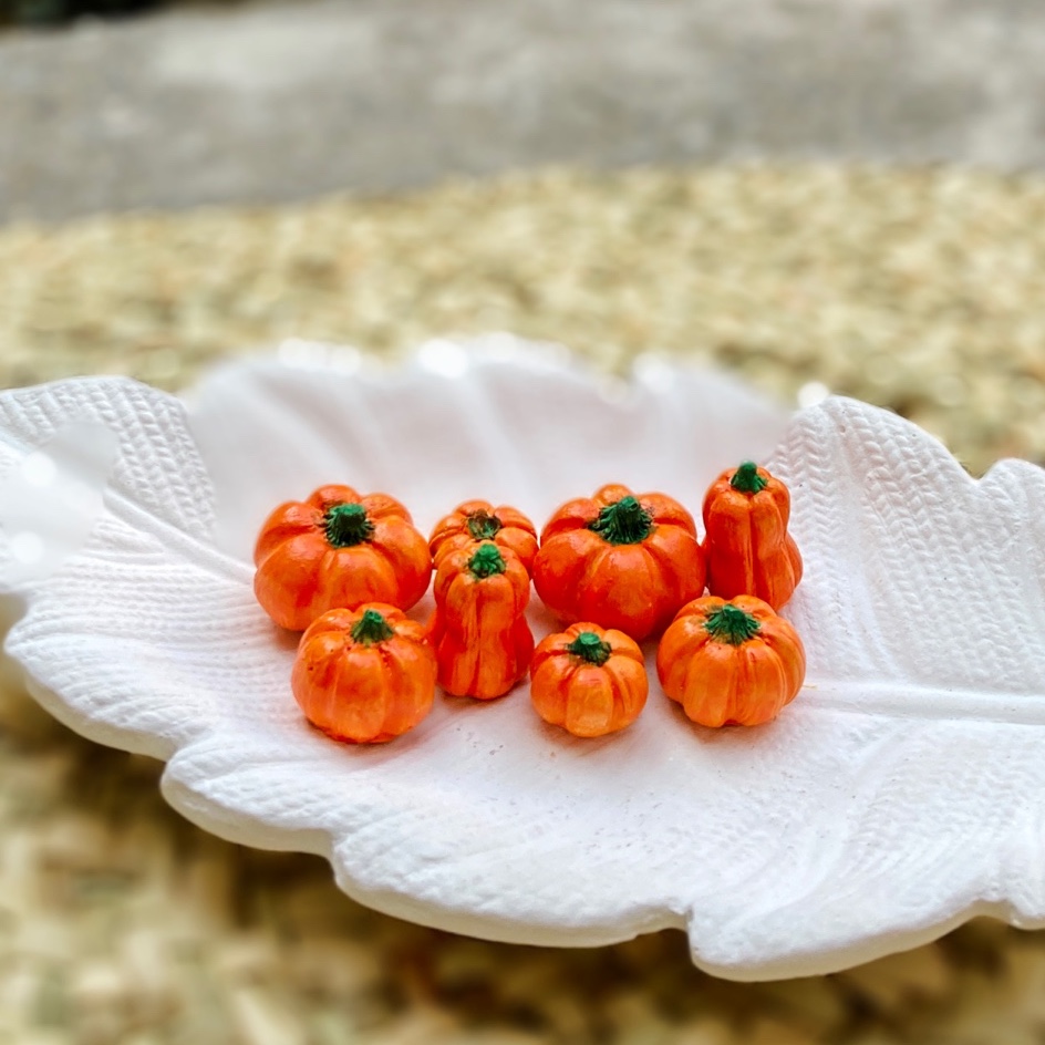 دکوری کدو نارنجی سنگی بسته ده تایی